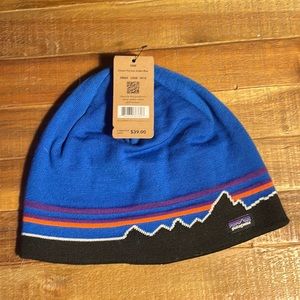 Patagonia winter hat logo and mountain scene
